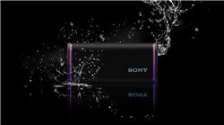 SONY Haut-parleur portatif sans fil ULT FIELD 5, Noir