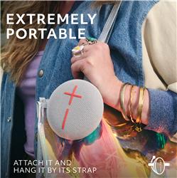 ULTIMATE EARS MINIROLL Haut-parleur Bluetooth étanche, Gris