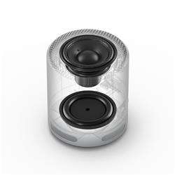 Enceinte portable sans fil SONY SRS-XB100, noire