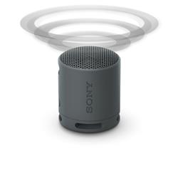 Enceinte portable sans fil SONY SRS-XB100, noire