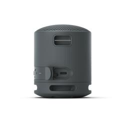 Enceinte portable sans fil SONY SRS-XB100, noire