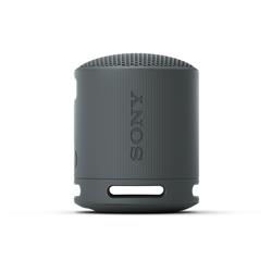 Enceinte portable sans fil SONY SRS-XB100, noire
