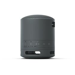 Enceinte portable sans fil SONY SRS-XB100, noire