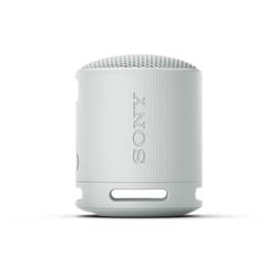 SONY SRS-XB100 Portable Wireless Speaker, Grey