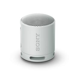 SONY SRS-XB100 Portable Wireless Speaker, Grey