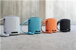 SONY SRS-XB100 Portable Wireless Speaker, Blue