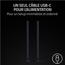 Razer - Barres lumineuses LED RVB Aether Standing Light - Noir
