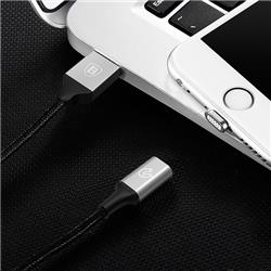 BASEUS Insnap Series Magnetic Cable For Lightning 1.2M Silver+Black