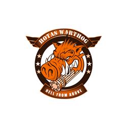 THRUSTMASTER HOTAS warthog flight