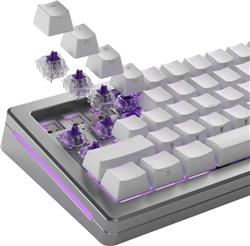 Glorious Mako Interrupteurs tactiles - Standard (110 pièces)