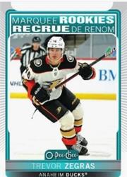 TOP DOG DISCOUNT HOCKEY CARDS (Packaging May Vary)