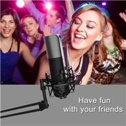 YANMAI Q8 Metal Grill Studio Microphone