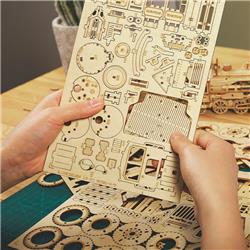 ROKR 3D Wooden Puzzle,Steam Train Set,DIY Enthusiasts