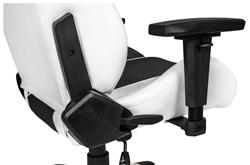 AKRacing Arctica Series Gaming Chair(Open Box)