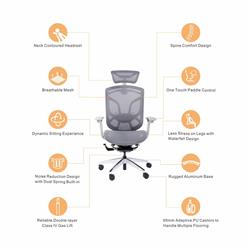 GTCHAIR Dvary Butterfly Ergonomic Office Chair, Mesh, Grey