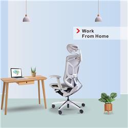 GTCHAIR Dvary Butterfly Ergonomic Office Chair, Mesh, Grey