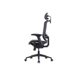 GTCHAIR inFlex Ergonomic Office Chair, Mesh, Black(Open Box)