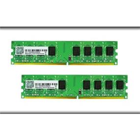 G.SKILL NT 2 x 2 GB (2x2GB) DDR2 800MHz CL5 Green 1.8 V UDIMM - Desktop Memory -  (F2-6400CL5D-4GBNT)
