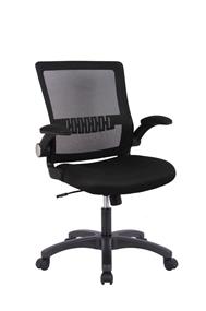 iCAN Mesh Home Office Chair, Ergonomic Design,  320mm Nylon Base, 50R Nylon Castor, Polyester Flip-up Arms, Lumbar Support, Black.