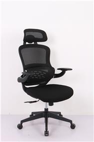 iCAN Mesh Home Office Chair, Ergonomic Design,  340mm Nylon Base, 60R Nylon Base, Flip-up Armrests, Lumbar Support, Black.(Open Box)
