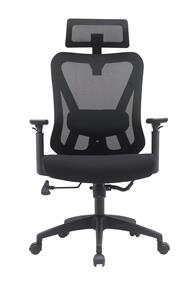 iCAN KW-M25 Mesh Office Chair, 3D Armrest, Lumbar Support