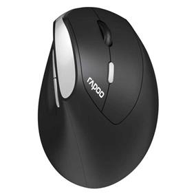 Rapoo EV250 Ergonomic Silent Wireless Mouse