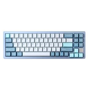 Yunzii AL71 BLUE P Mechanical Gaming Keyboard with RGB Backlighting,Hot Swappable