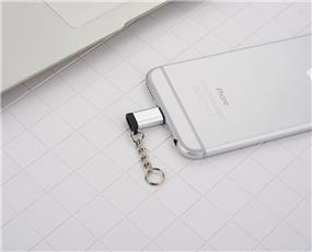 FLITOP Micro USB to Lightning Adapter with Key Chain, Silver (V8_IP)