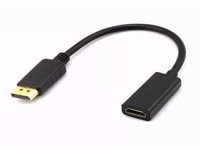 Câble convertisseur vidéo STARTECH DisplayPort vers HDMI (DP2HDMI)
