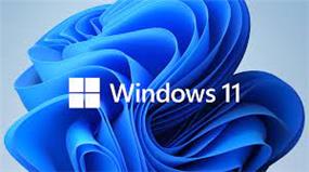 Microsoft Windows 11 Pro 64-Bit - French - DVD OEM Pack (FQC-10532)