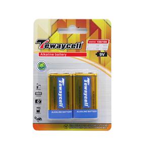 Tewaycell 2 Pack 9V Alkaline Battery
