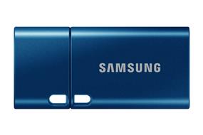 SAMSUNG Type-C 64GB USB 3.2 Flash Drive (MUF-64DA/AM)