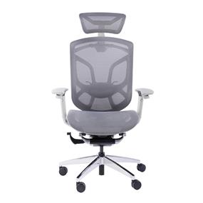 GTCHAIR Dvary Butterfly Ergonomic Office Chair, Mesh, 3D Armrest, 3D Headrest, 5 Level Lumber Support, 65mm Adaptive PU Castor, Grey