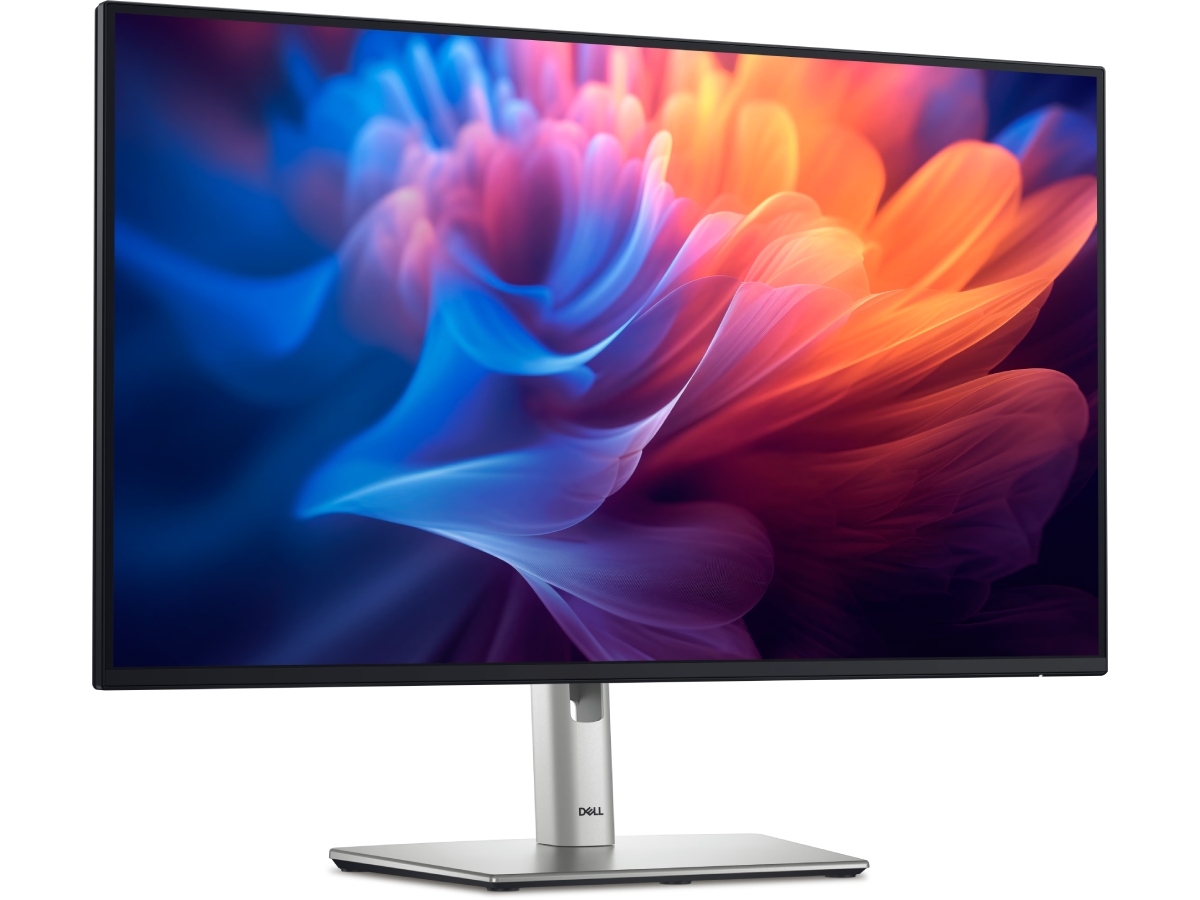 DELL DELL 27 MONITOR P2725H