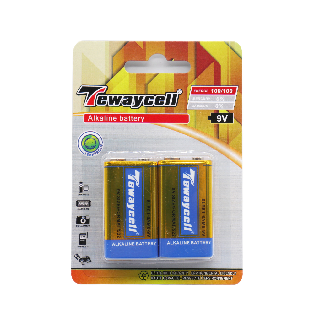 TEWAYCELL - Paquet de 2 piles alcalines 9 V