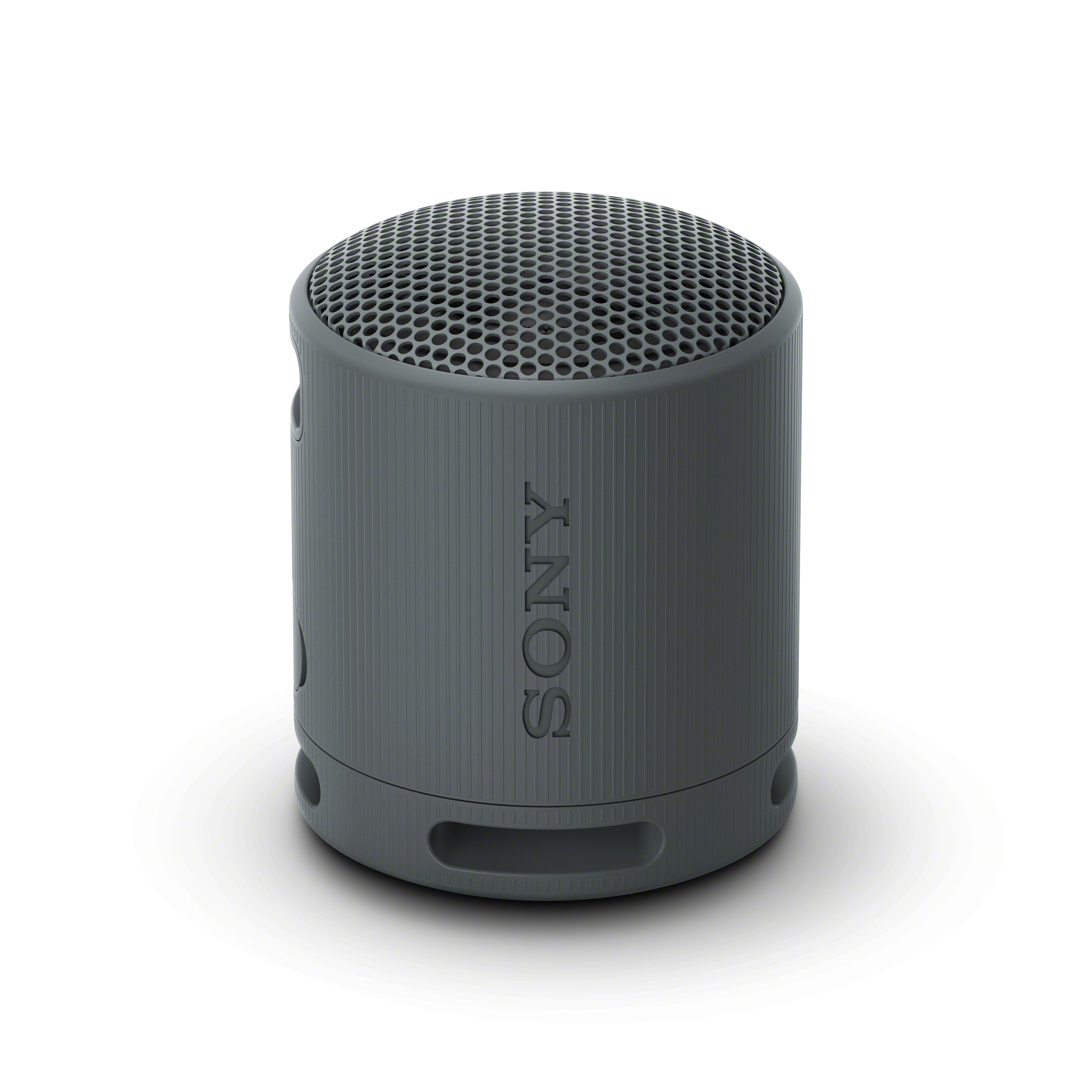 Enceinte portable sans fil SONY SRS-XB100, noire