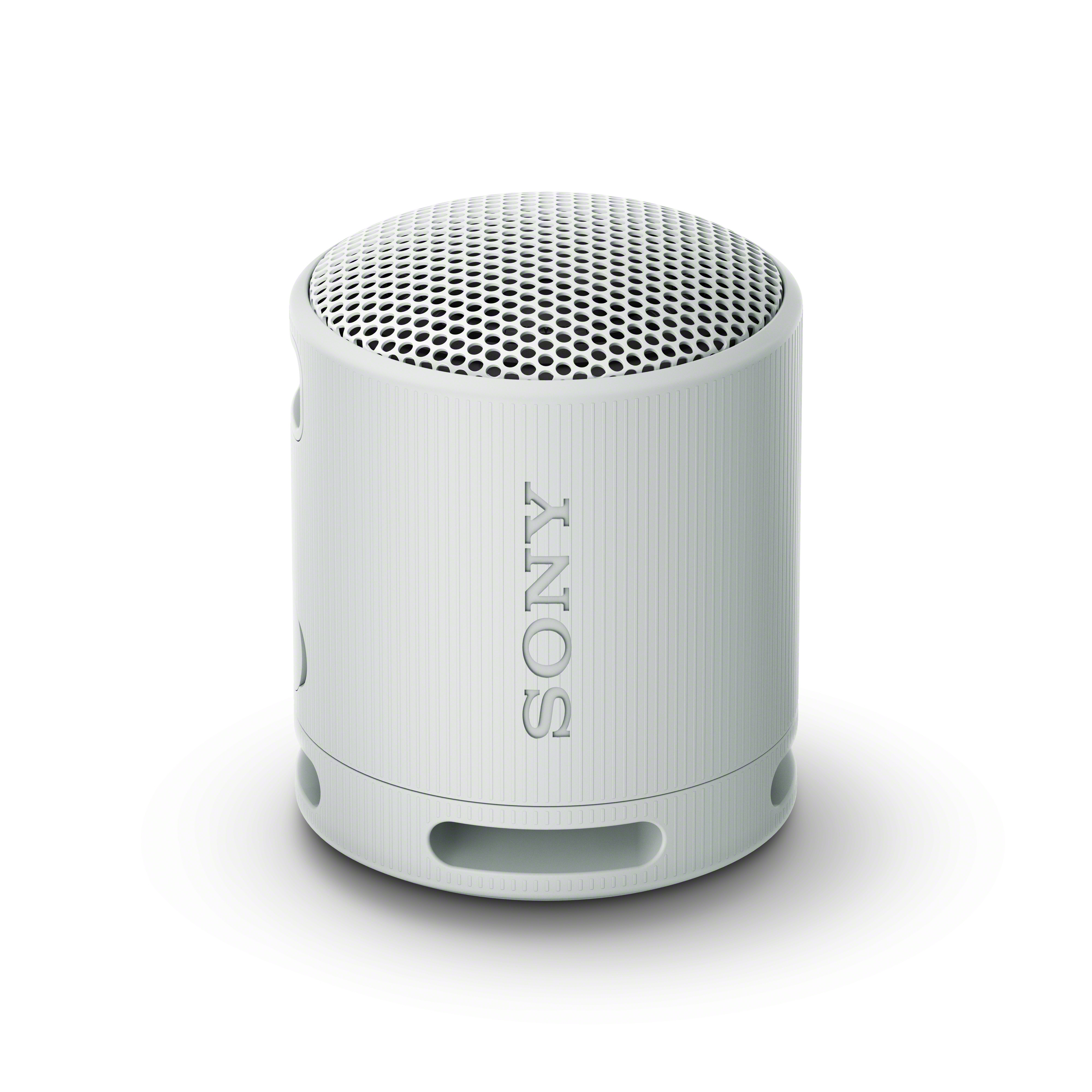 SONY SRS-XB100 Portable Wireless Speaker, Grey