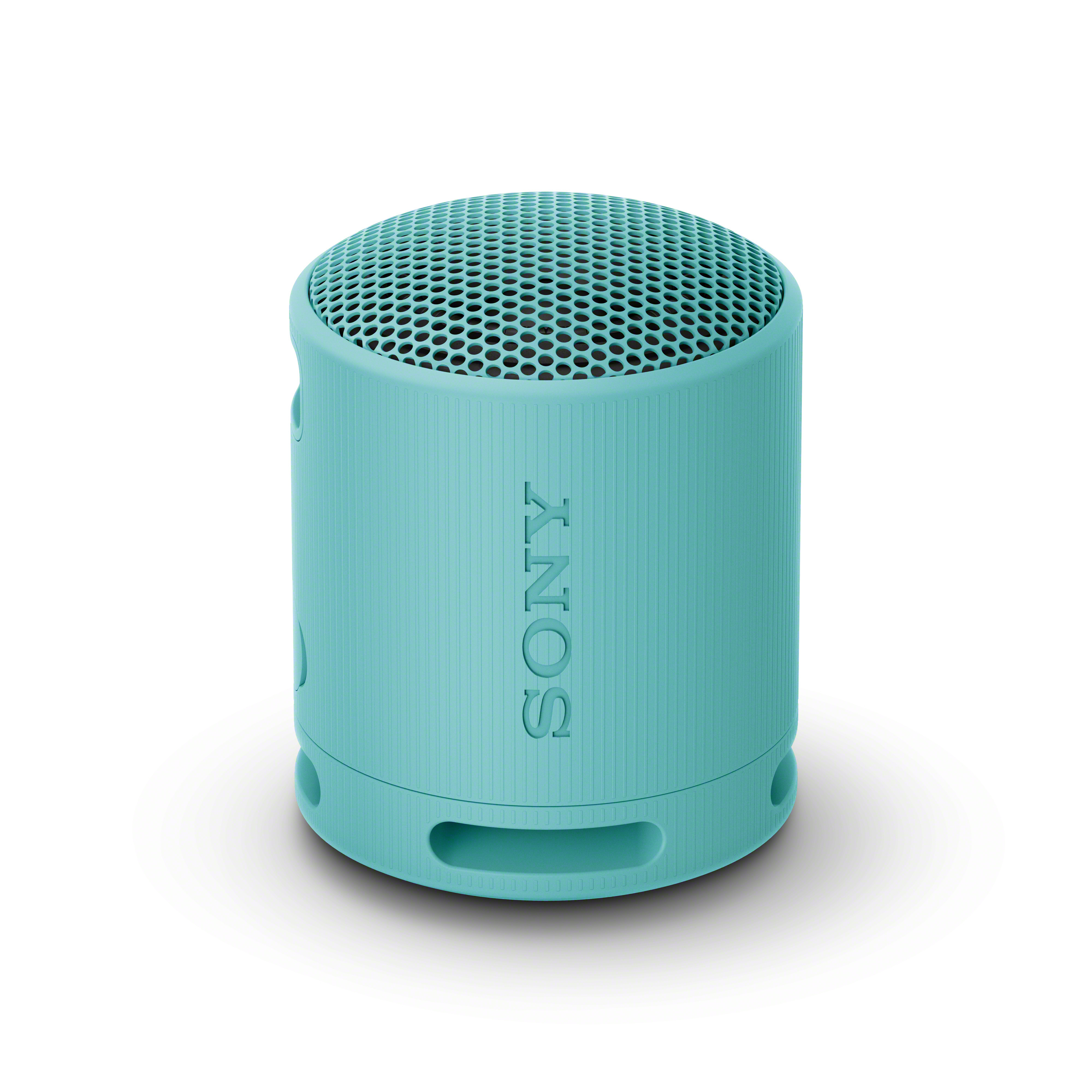 SONY SRS-XB100 Portable Wireless Speaker, Blue