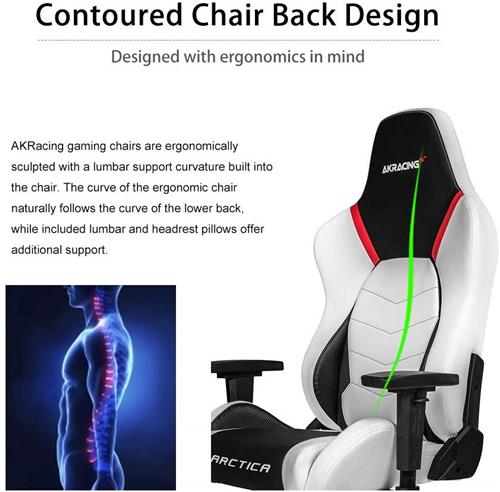 AKRacing Arctica Series Gaming Chair | Canada Computers ...