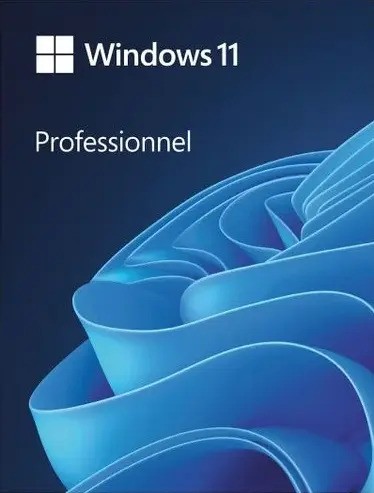 Microsoft Windows 11 Pro 64 bits - USB FRANÇAIS - Pack de vente au détail (HAV-00156)