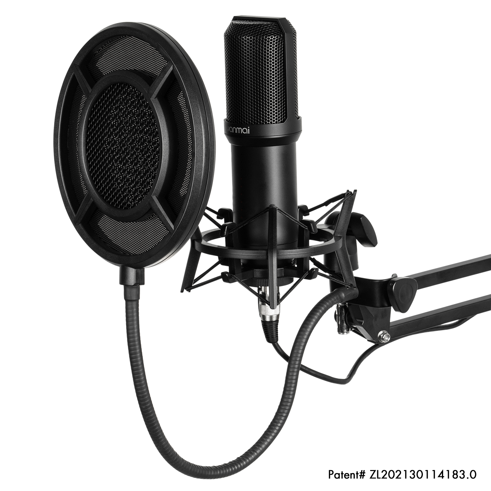 Microphone breveté de conception exclusive YANMAI Q10