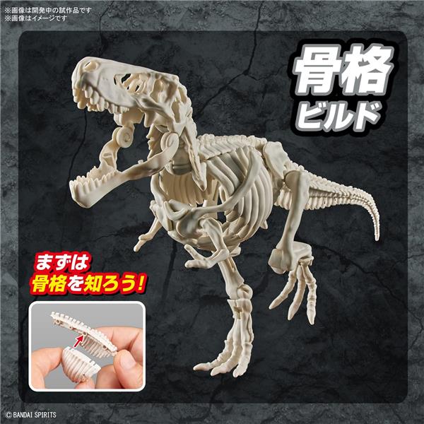 BANDAI Hobby PLANNOSAURUS Tyrannosaurus T-Rex Dinosaur Model Kit