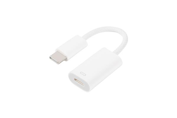 iCAN USB Type-C Male to Lightning Female charging and data adapter