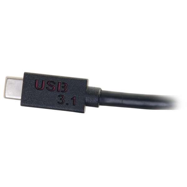 Cables to Go USB-C TO DISPLAYPORT ADAPTER CONVERTER - BLACK (29482)