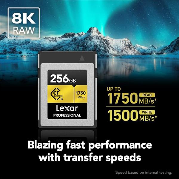 Lexar Professional 256GB CFexpress Type B Memory Card, Up to 1750MB/s Read, Raw 8K Video Recording (LCXEXPR256G-RNENG)