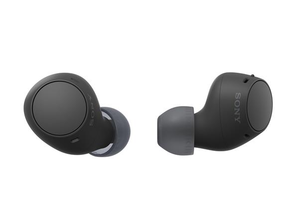 SONY WF-C510 Truly Wireless Earbuds, Black