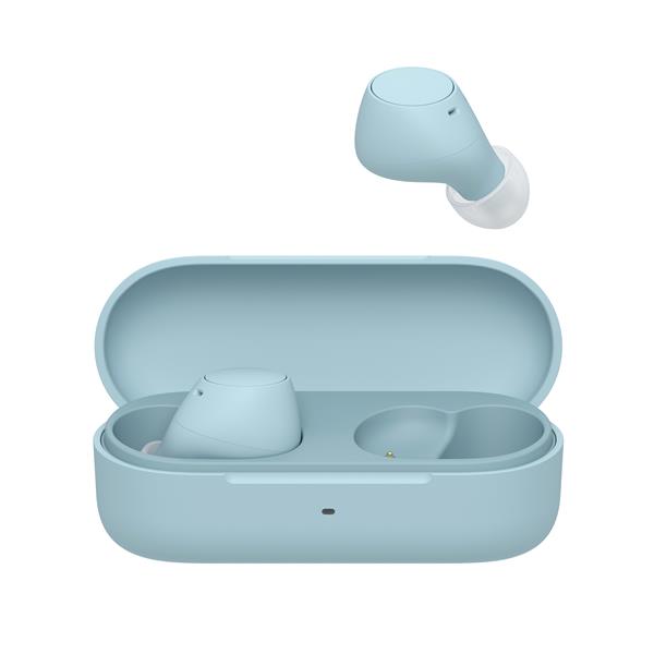 SONY WF-C510 Truly Wireless Earbuds, Blue