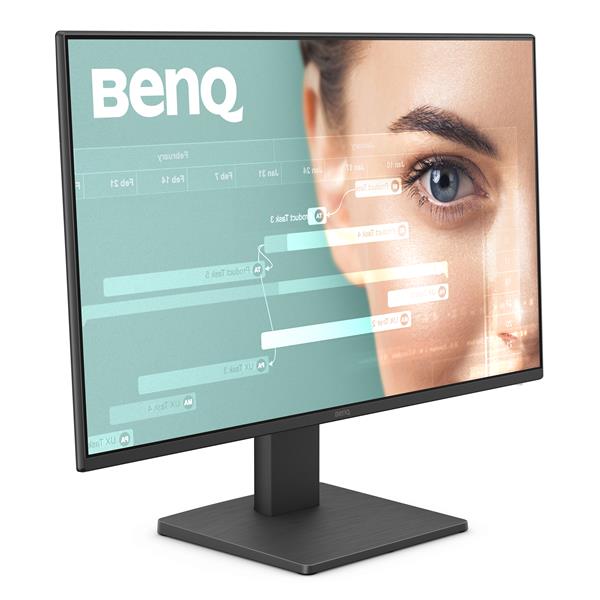 BenQ GW2491 23.8” FHD IPS 100Hz 5ms (GtG) Creator Monitor