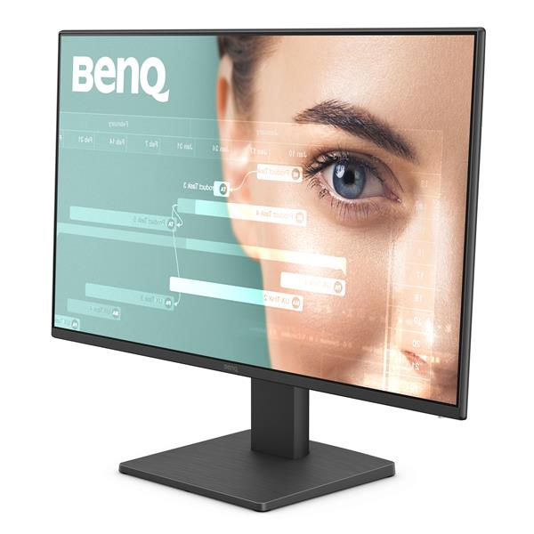 BenQ GW2491 23.8” FHD IPS 100Hz 5ms (GtG) Creator Monitor