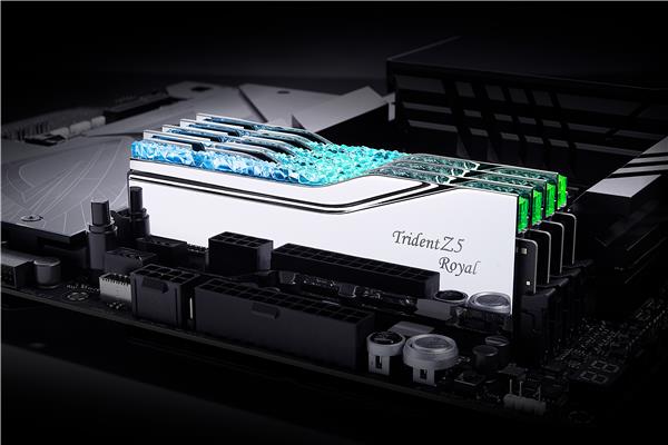G.SKILL Trident Z5 Royal RGB 48GB (2x24GB) DDR5 7200MHz CL36 UDIMM